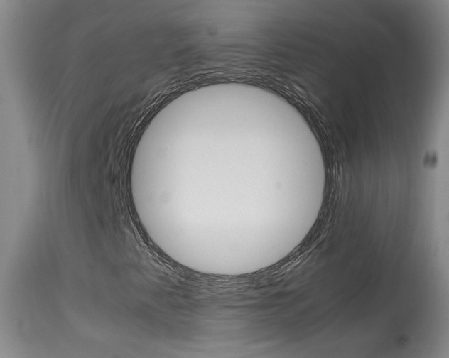 X0000113931345200909250906