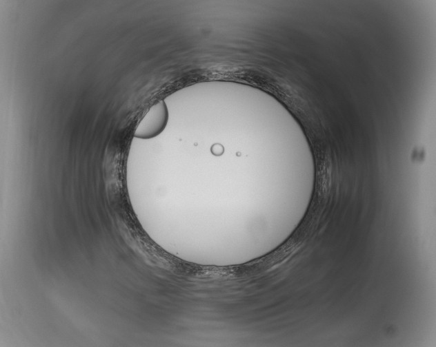 X0000113931346200909250906