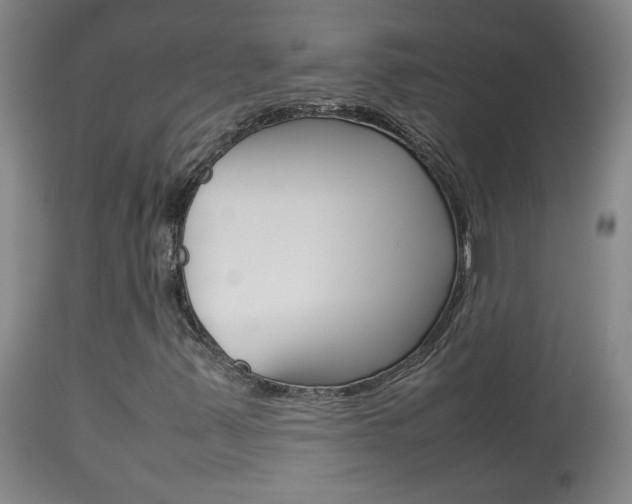 X0000113931347200909250906