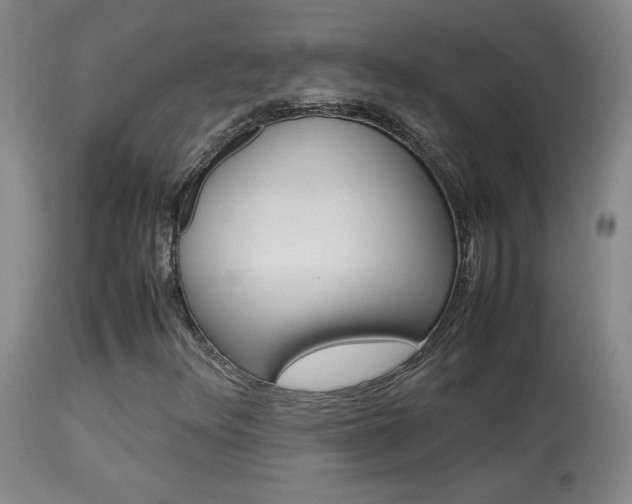 X0000113931348200909250906