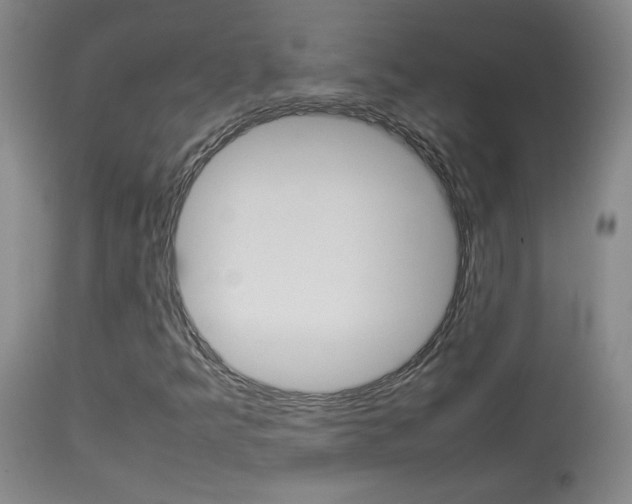 X0000113931349200909250906