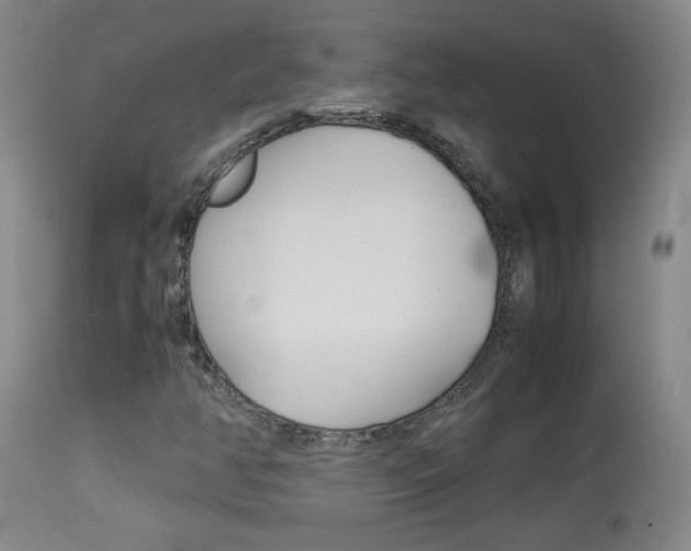 X0000113931350200909250906