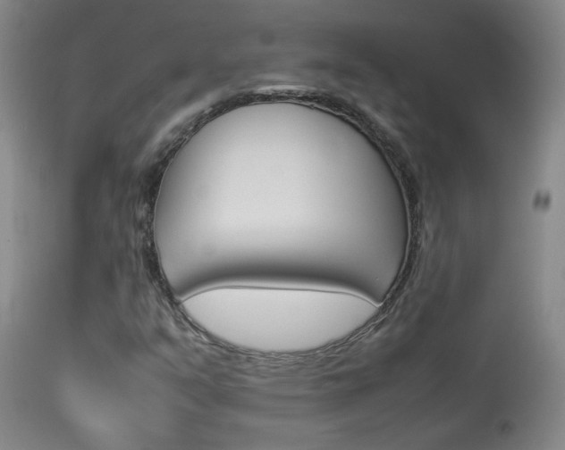 X0000113931351200909250906
