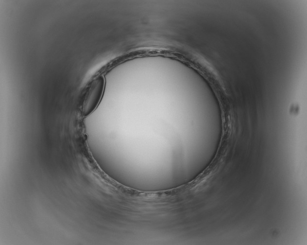 X0000113931352200909250906