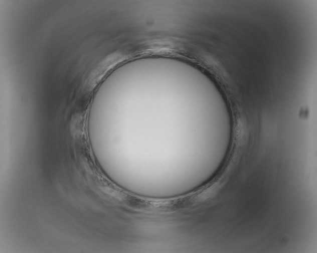X0000113931353200909250906