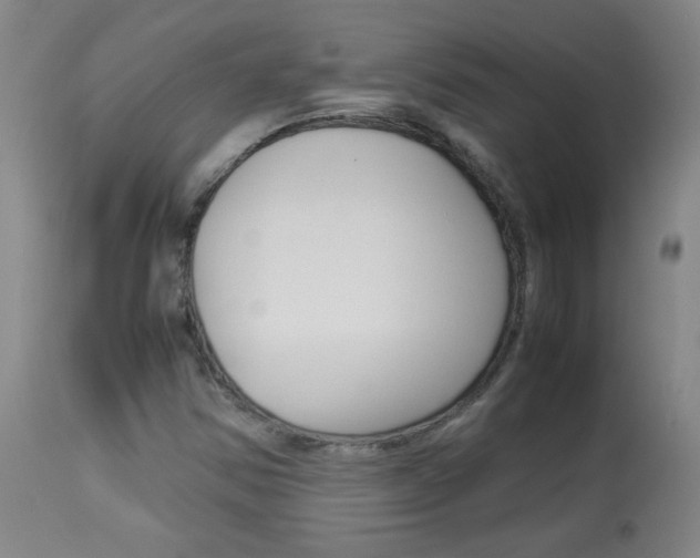 X0000113931354200909250906