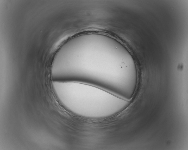X0000113931355200909250906