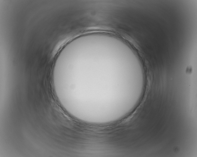 X0000113931357200909250906