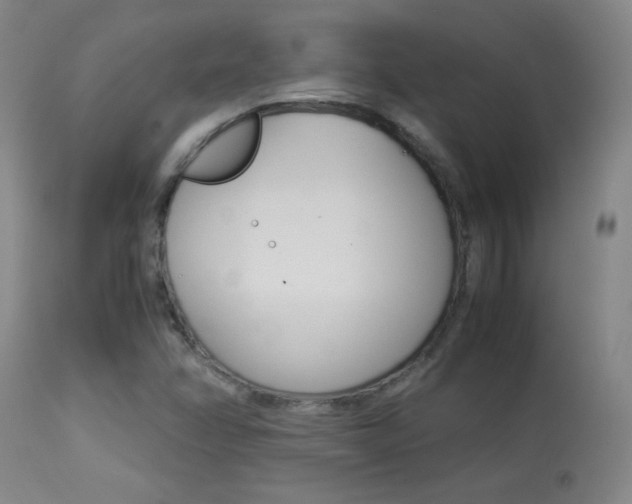 X0000113931358200909250906