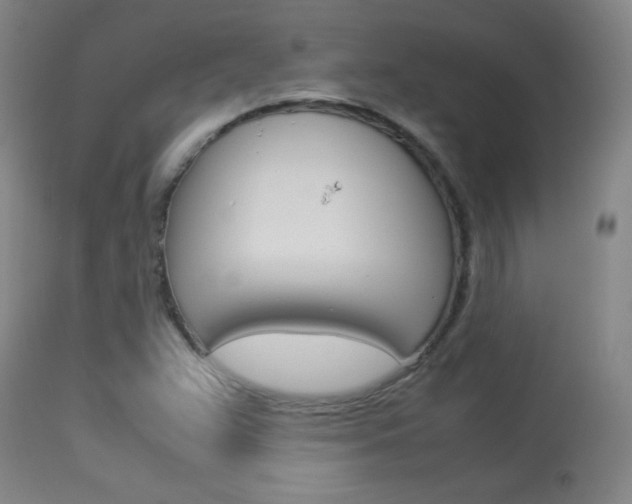 X0000113931359200909250906