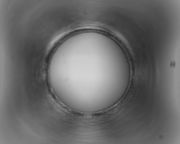 X0000113931360200909250905