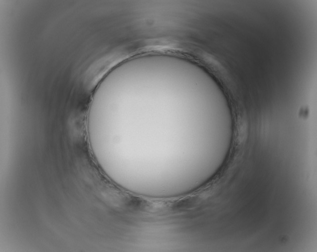 X0000113931361200909250905