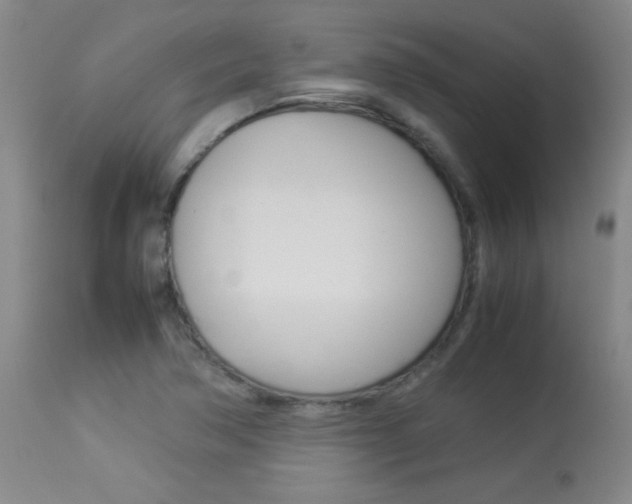X0000113931362200909250905
