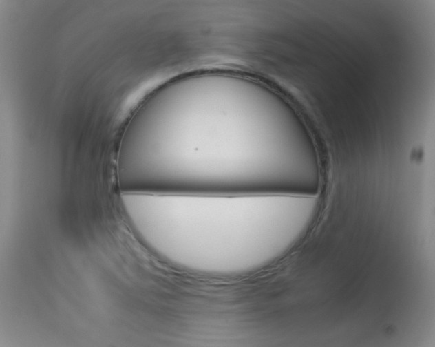 X0000113931363200909250905