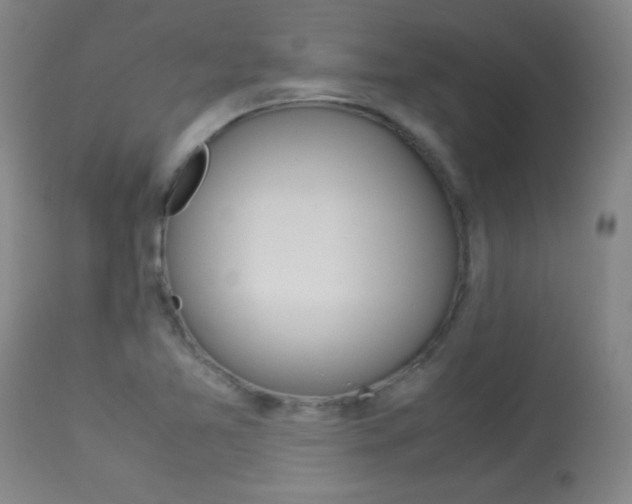 X0000113931365200909250905