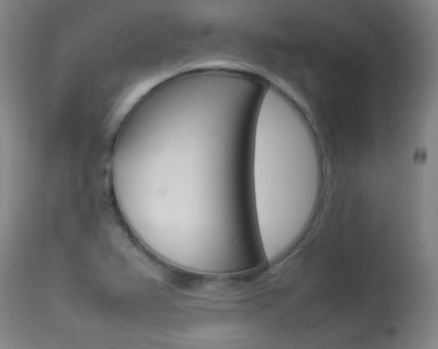 X0000113931367200909250905