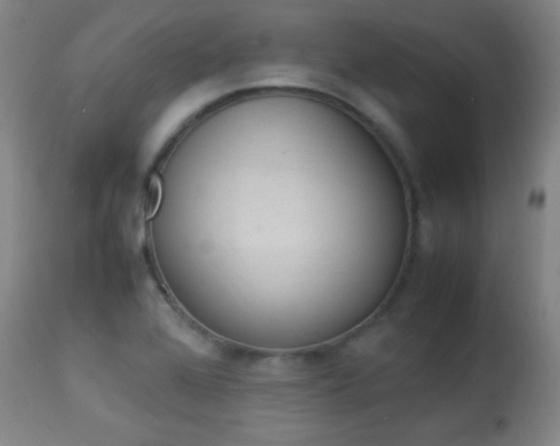 X0000113931368200909250905
