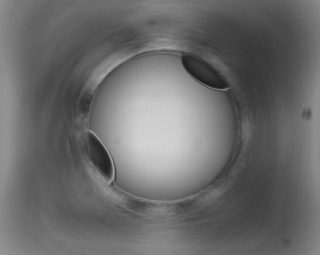 X0000113931369200909250905