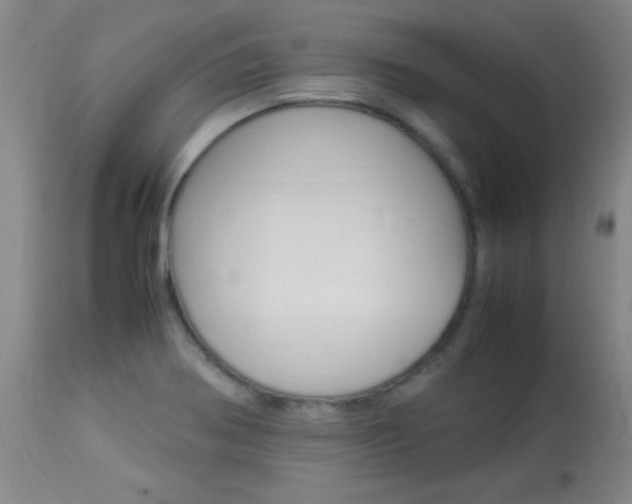 X0000113931370200909250905