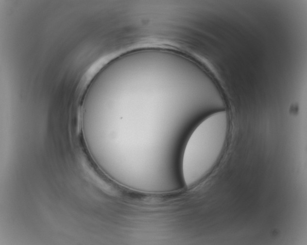 X0000113931371200909250905