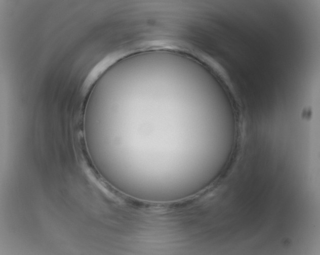 X0000113931373200909250905