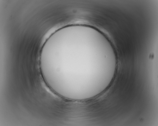 X0000113931374200909250905