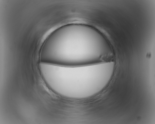 X0000113931375200909250905