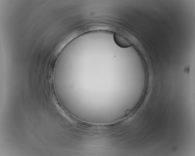 X0000113931377200909250905