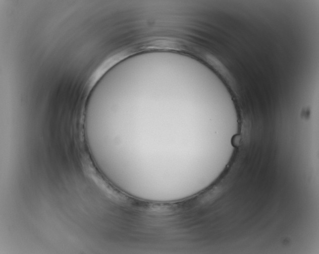 X0000113931378200909250905
