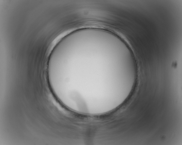X0000113931379200909250905