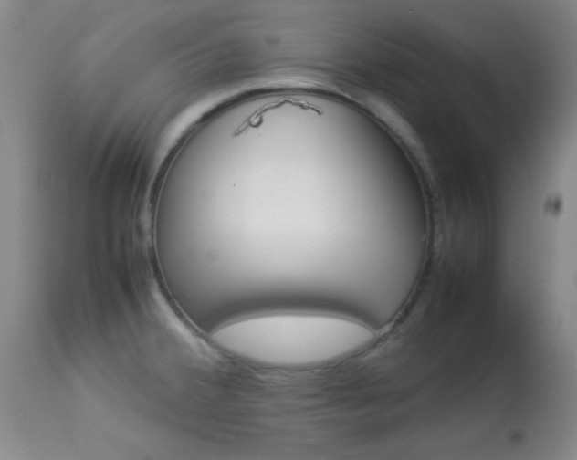 X0000113931380200909250905