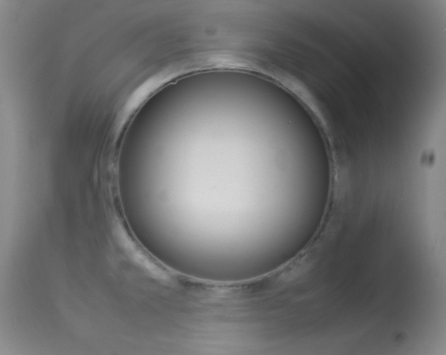 X0000113931381200909250905