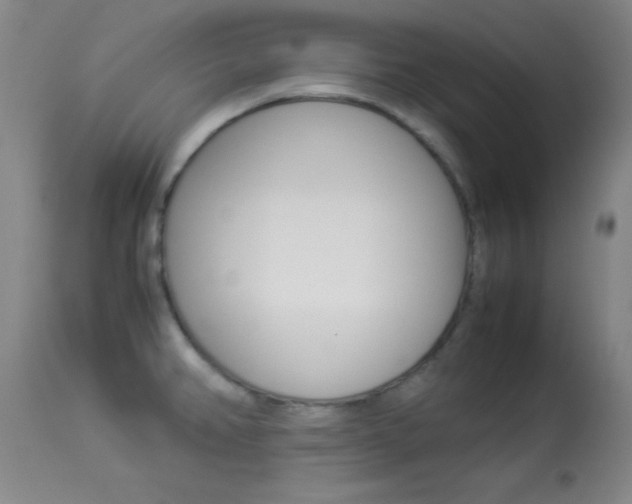 X0000113931382200909250905