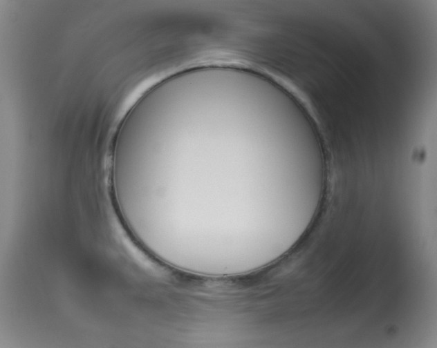 X0000113931383200909250905