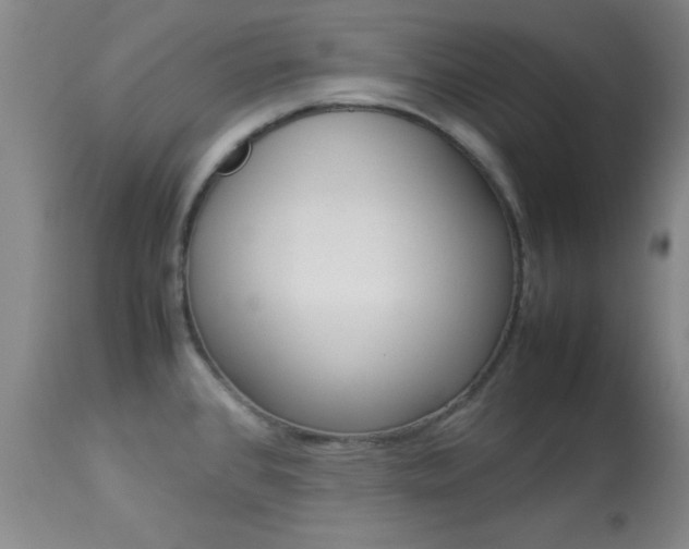 X0000113931384200909250905