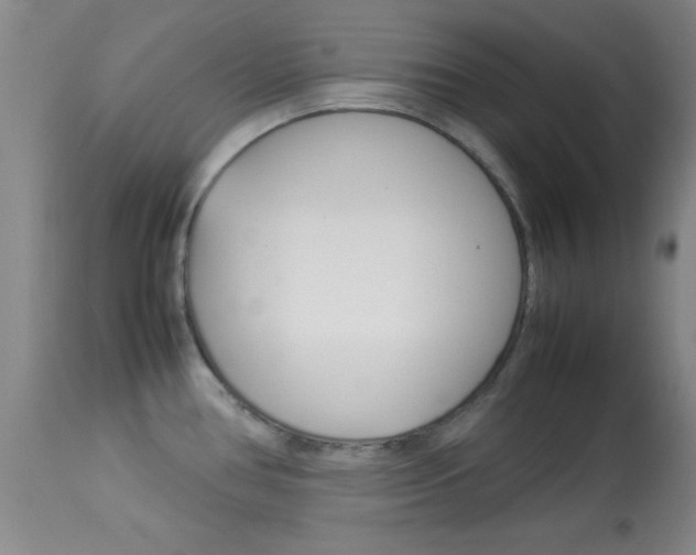 X0000113931386200909250905