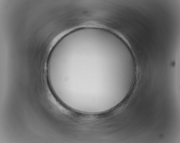 X0000113931387200909250905