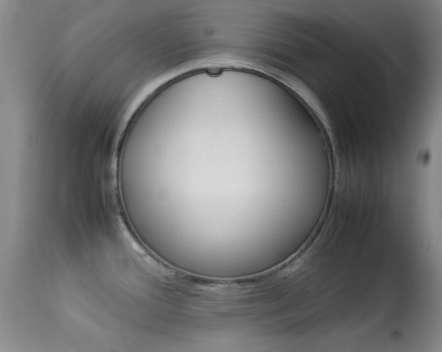 X0000113931388200909250905