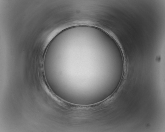 X0000113931389200909250905