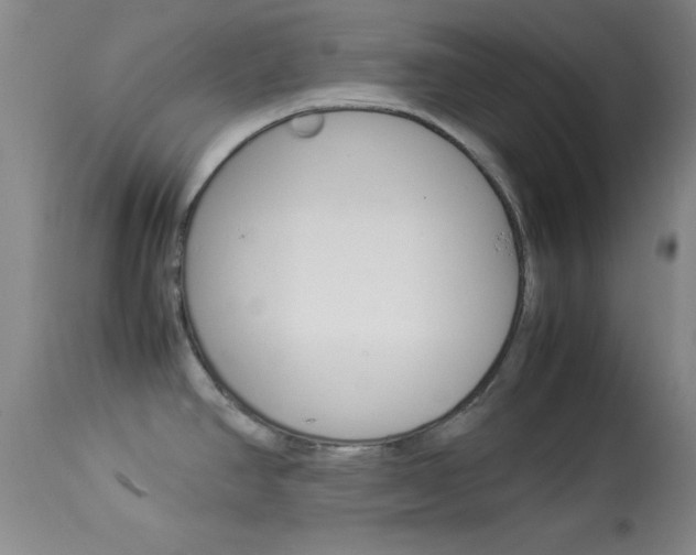X0000113931390200909250905
