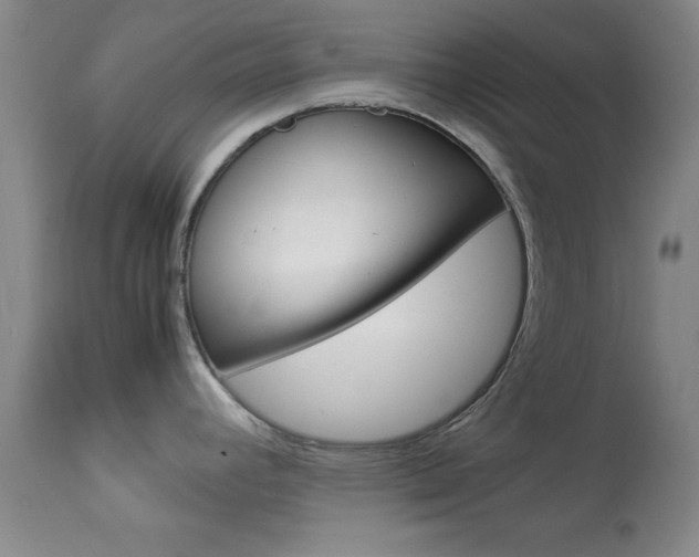 X0000113931392200909250905