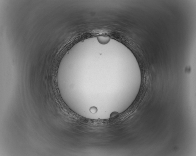 X0000113931393200909250904