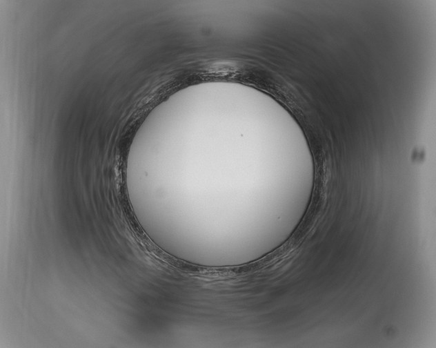 X0000113931394200909250904