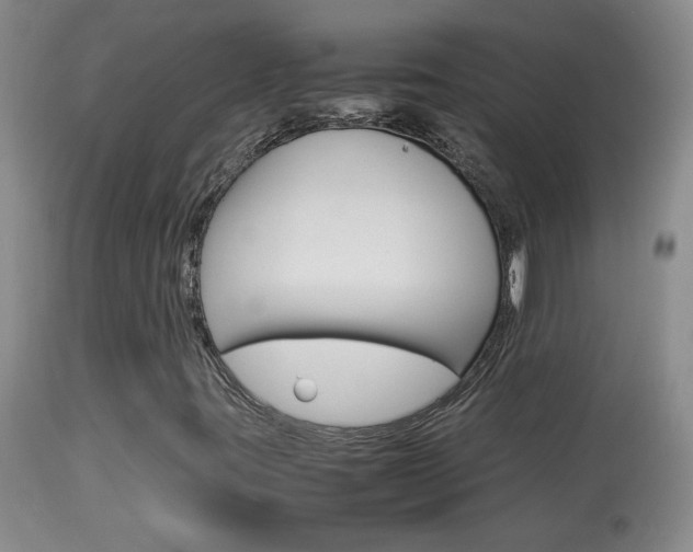 X0000113931395200909250904