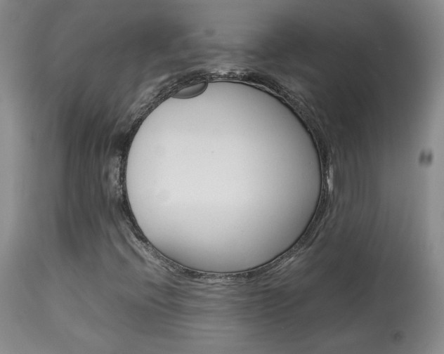 X0000113931396200909250904