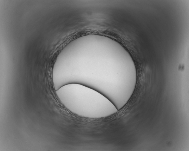 X0000113931397200909250904