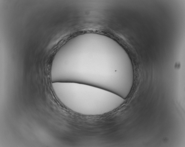 X0000113931399200909250904