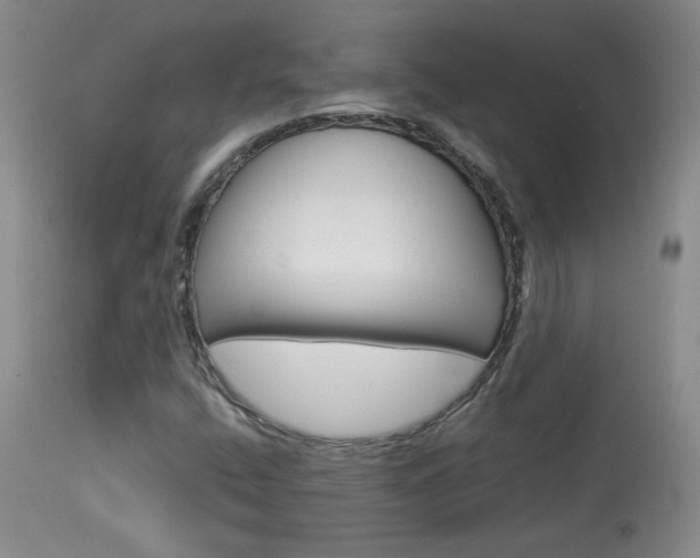 X0000113931400200909250904