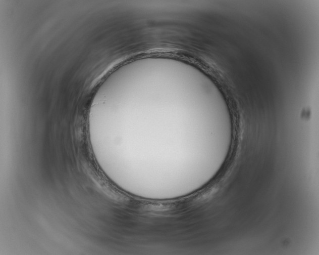 X0000113931401200909250904