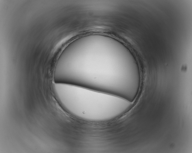 X0000113931402200909250904